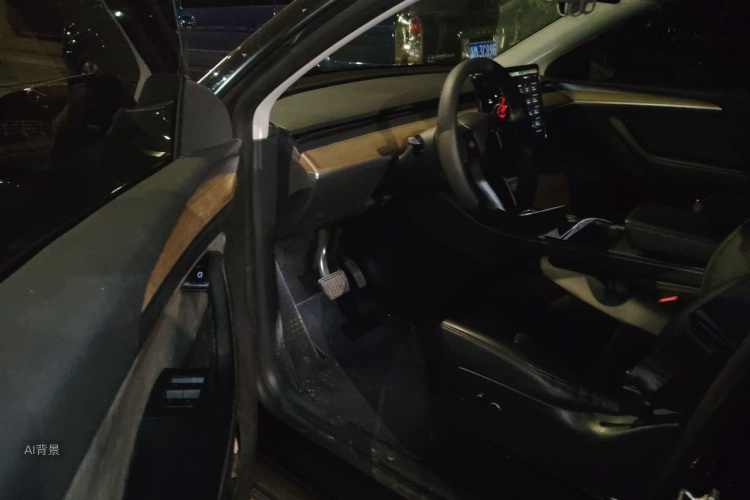 Tesla Model Y 2021 car image #18