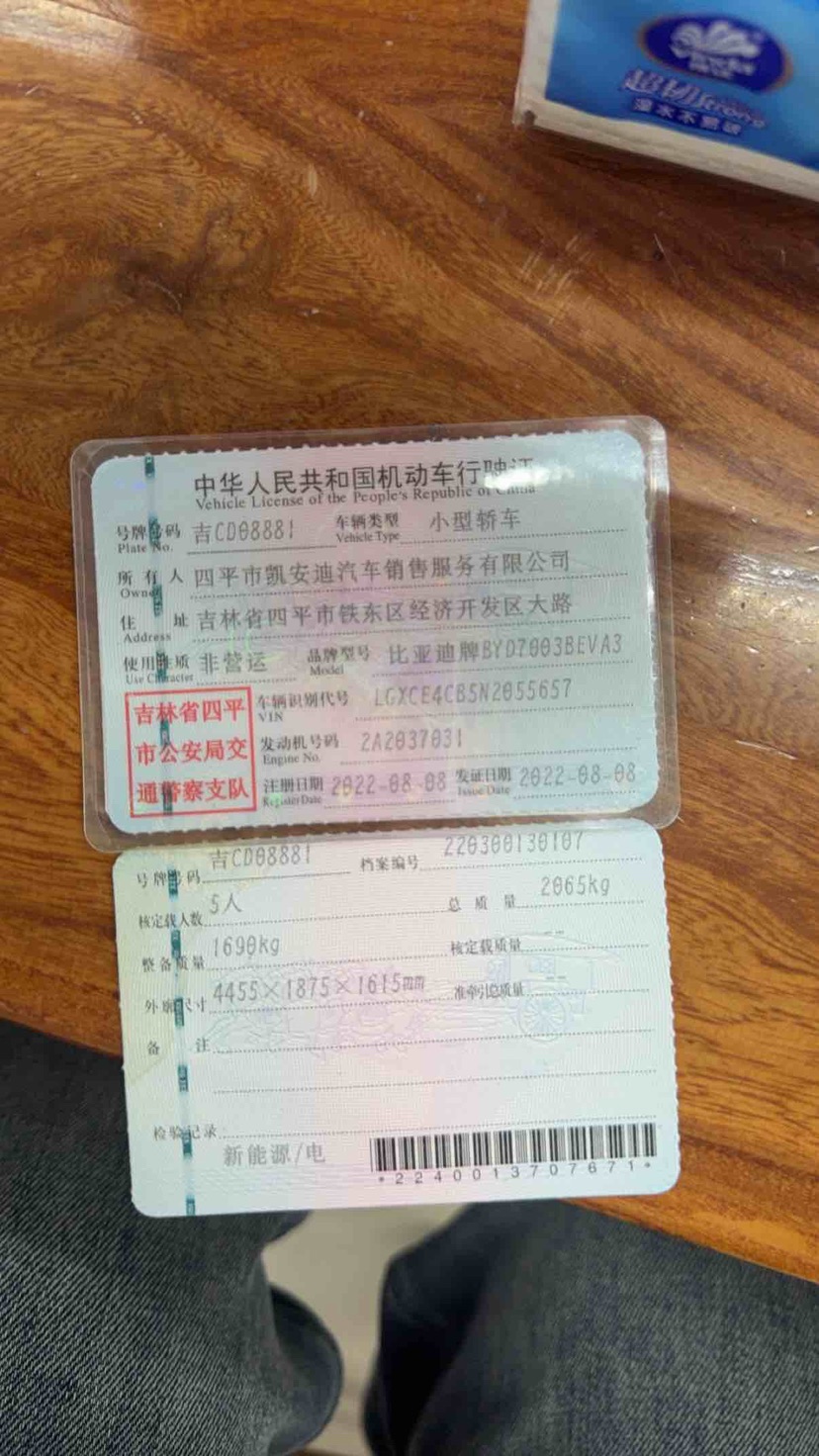 BYD Yuan Plus 2022 #10 BYD Yuan Plus 2022 immagine di auto #10