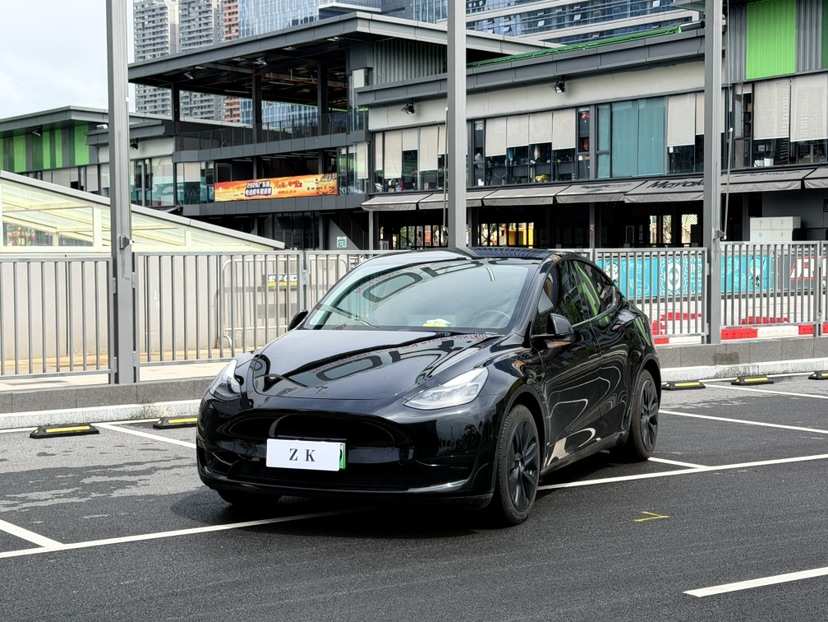 Tesla Model Y 2022 Tesla Model Y 2022 car image