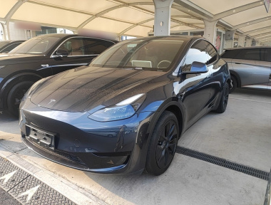 Tesla Model Y 2024 car image 