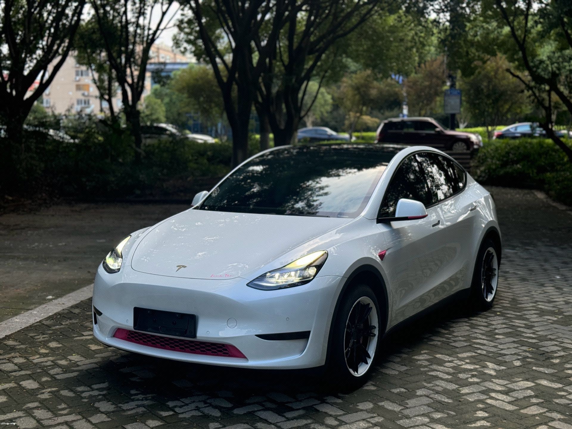 Tesla Model Y 2023 car image 