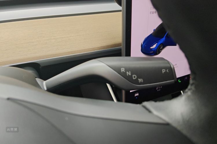 Tesla Model 3 2020 car image #16