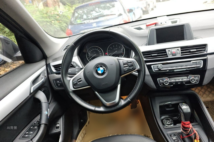 BMW X1 2016 car image #12