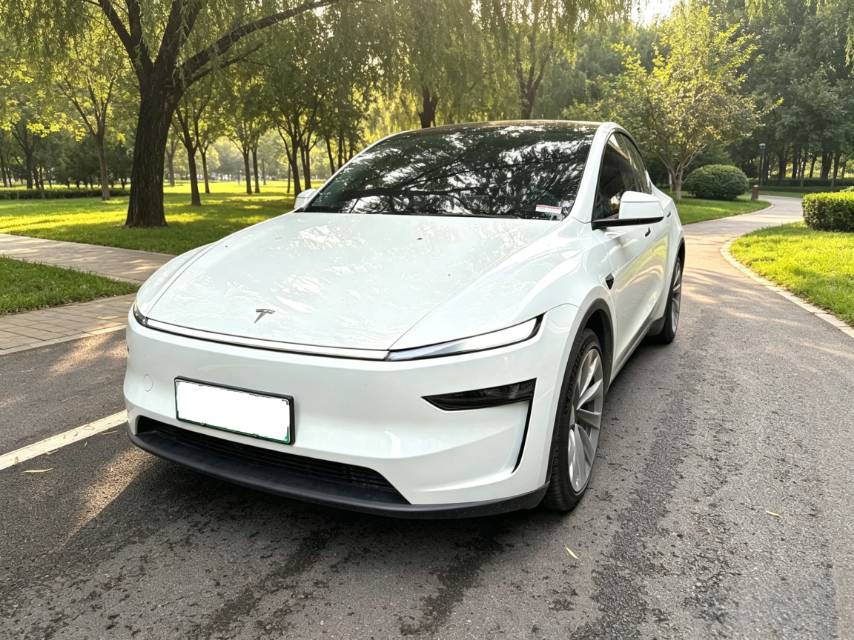 Tesla Model Y 2025 car image 