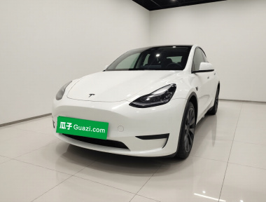 Tesla Model Y 2022 Tesla Model Y 2022 car image