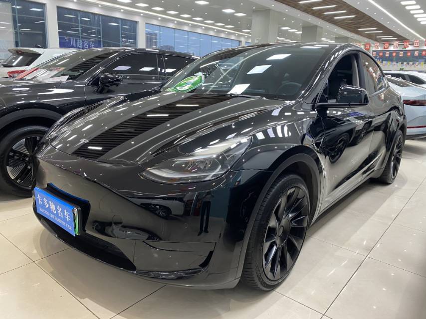 Tesla Model Y 2022 car image 