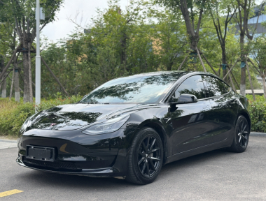 Tesla Model 3 2021 Tesla Model 3 2021 car image
