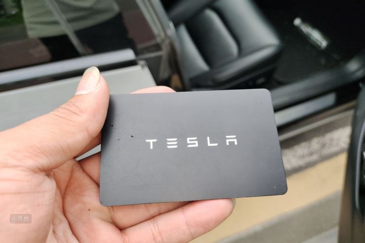 Tesla Model 3 2020 car image #10