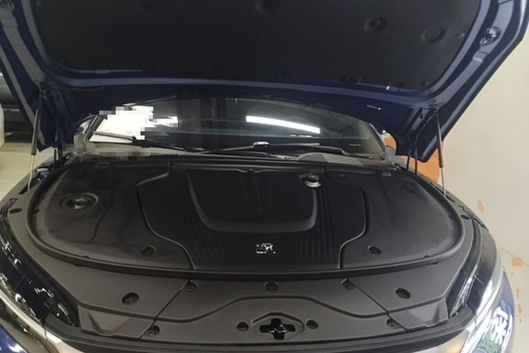 BYD Han 2022 #20 BYD Han 2022 immagine di auto #20