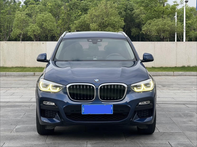BMW X3 2019 car image 
