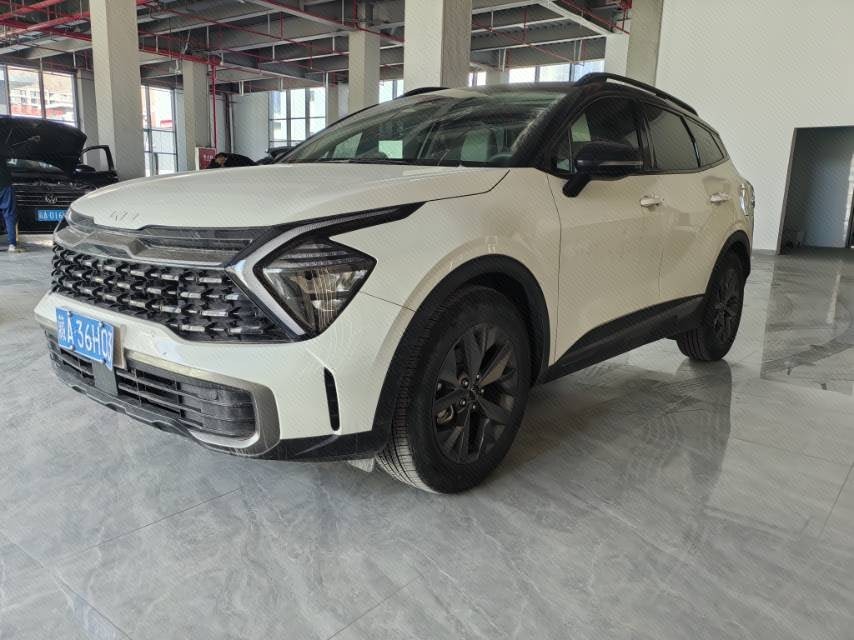 Kia Sportage 2024 immagine di auto 