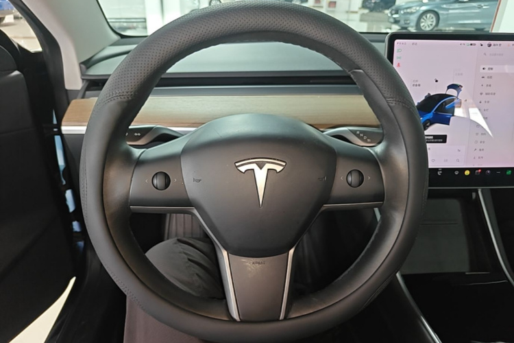 Tesla Model 3 2020 car image #11
