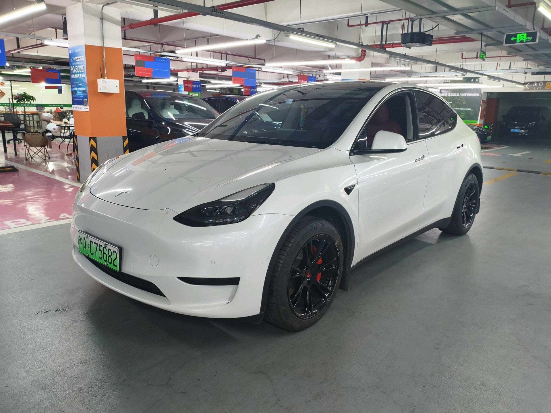 Tesla Model Y 2023 Tesla Model Y 2023 car image