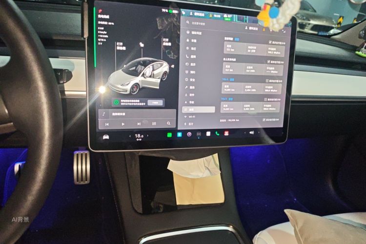 Tesla Model 3 2021 #15 Tesla Model 3 2021 car image #15