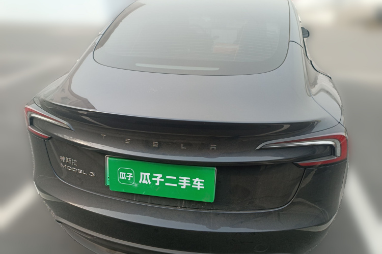 Tesla Model 3 2024 car image #6