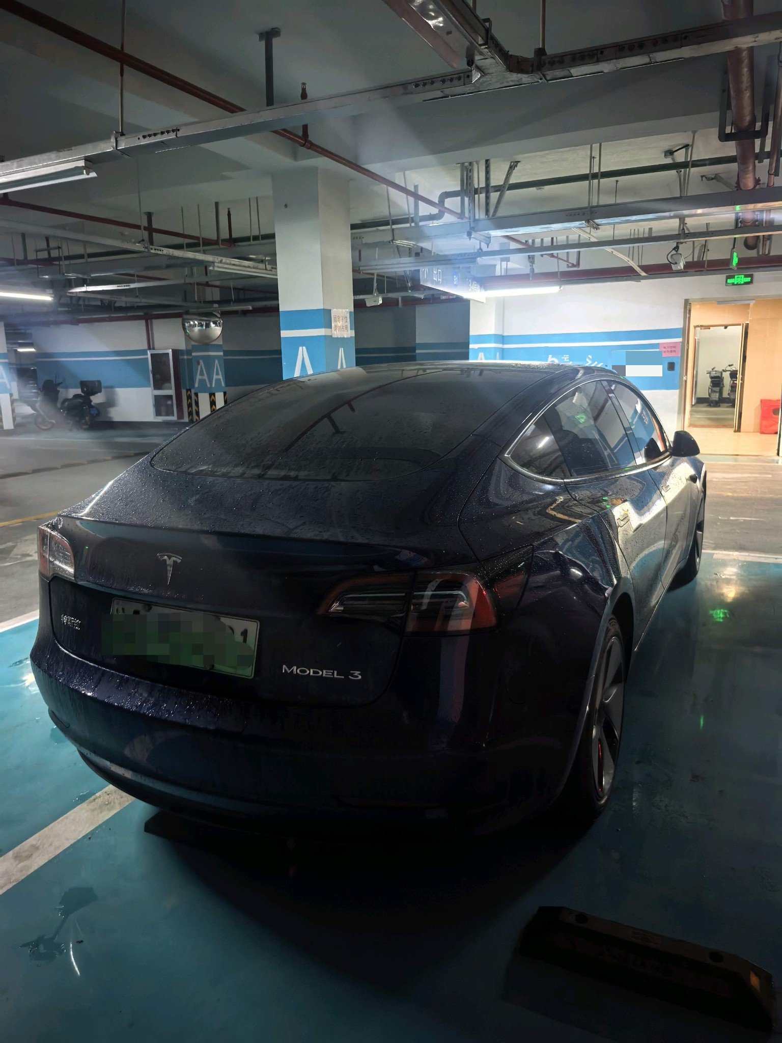 Tesla Model 3 2021 #5 Tesla Model 3 2021 immagine di auto #5