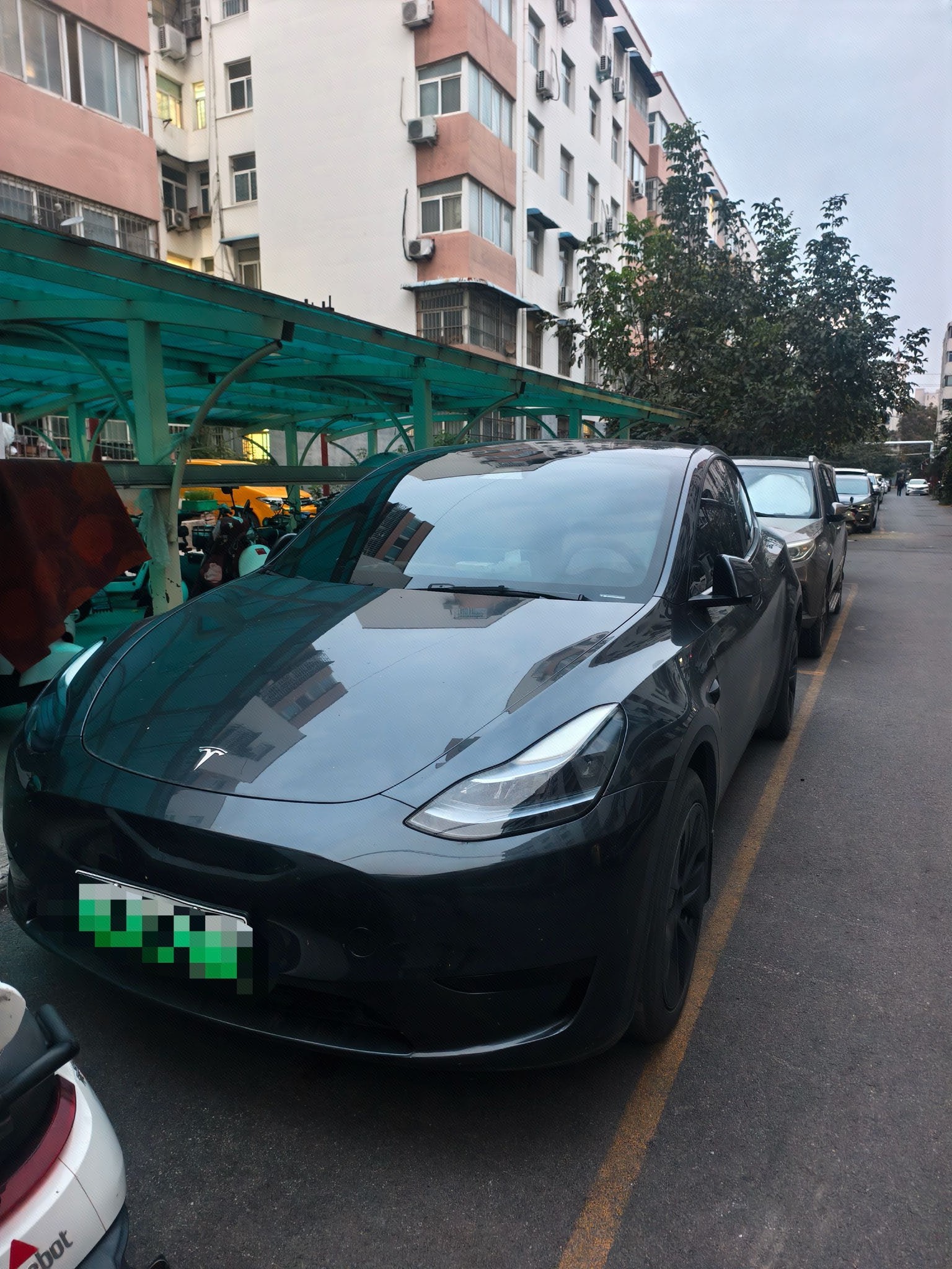 Tesla Model Y 2024 car image 
