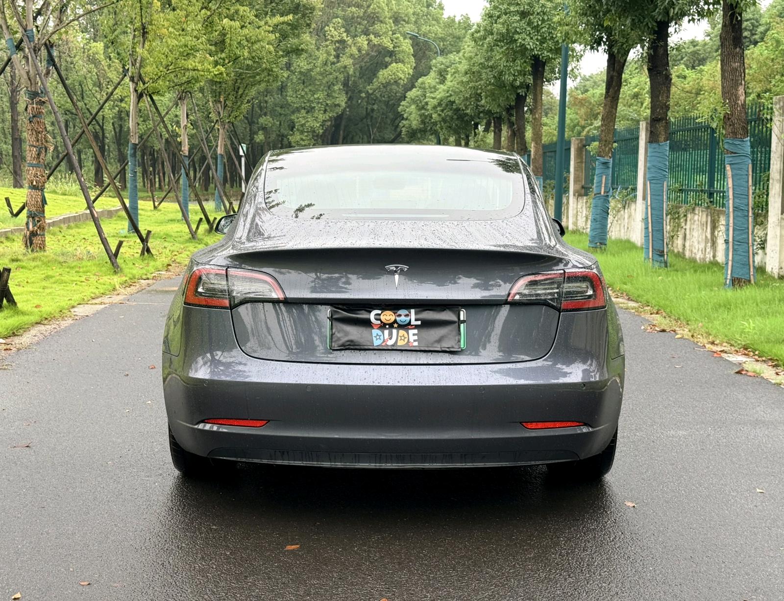 Tesla Model 3 2020 car image #6