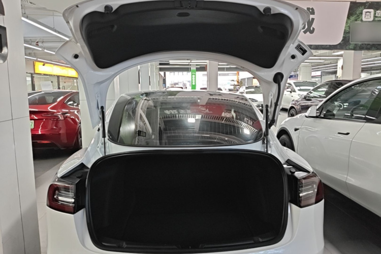 Tesla Model 3 2020 car image #19