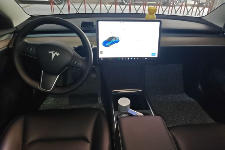 Tesla Model 3 2021 car image #12