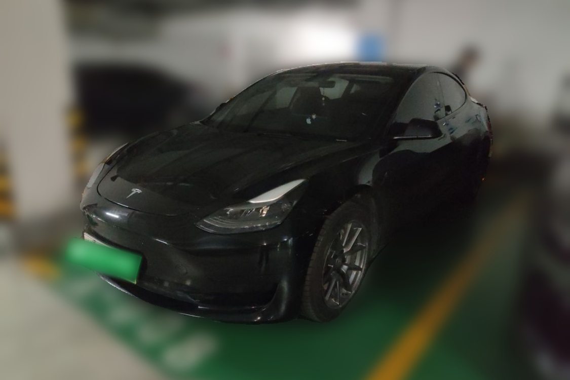 Tesla Model 3 2021 Tesla Model 3 2021 car image