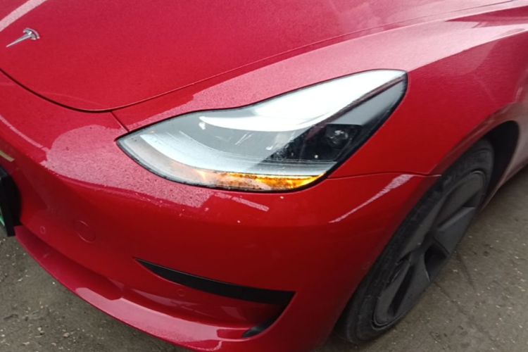 Tesla Model 3 2021 #23 Tesla Model 3 2021 car image #23
