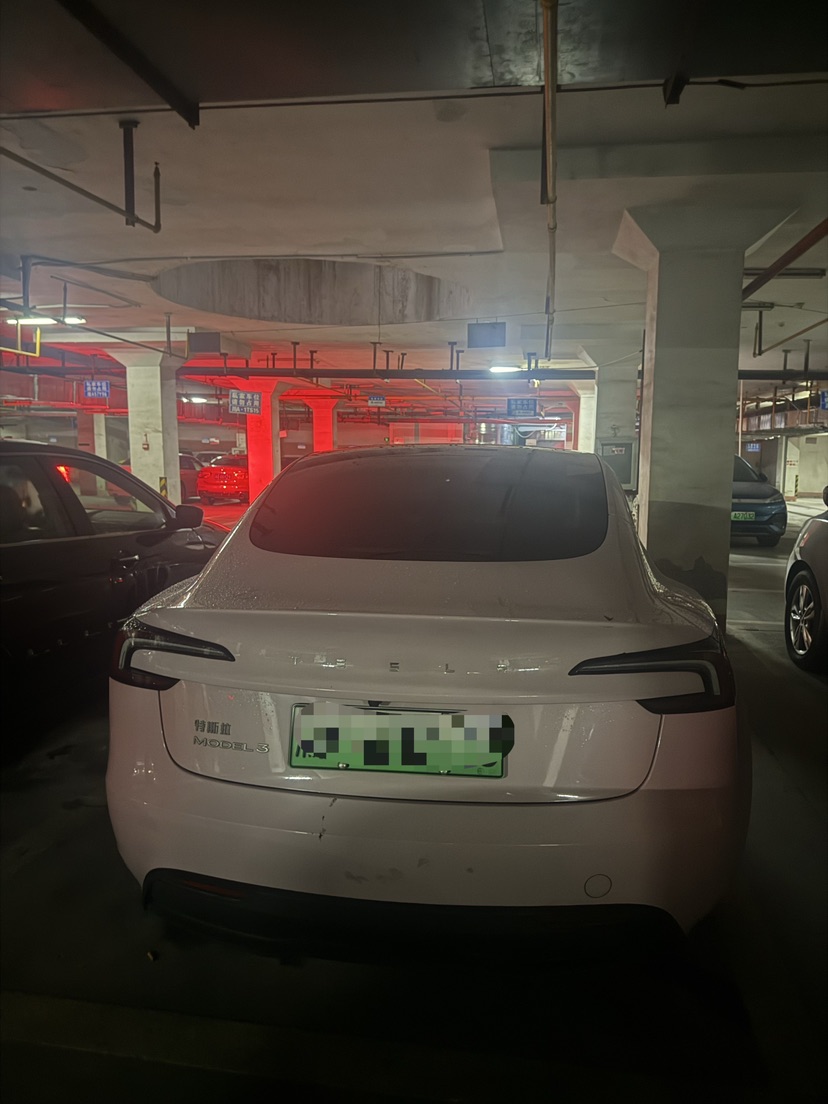 Tesla Model 3 2025 car image #4