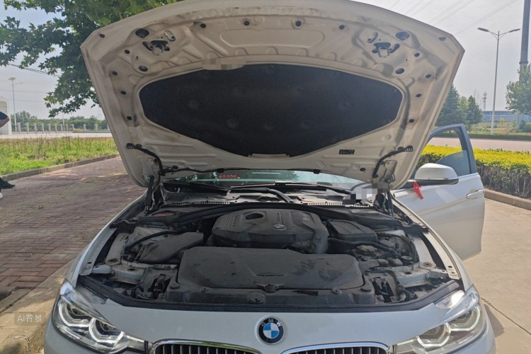 BMW 3 Series 2018 car image #22