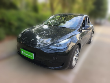 Tesla Model Y 2022 Tesla Model Y 2022 car image