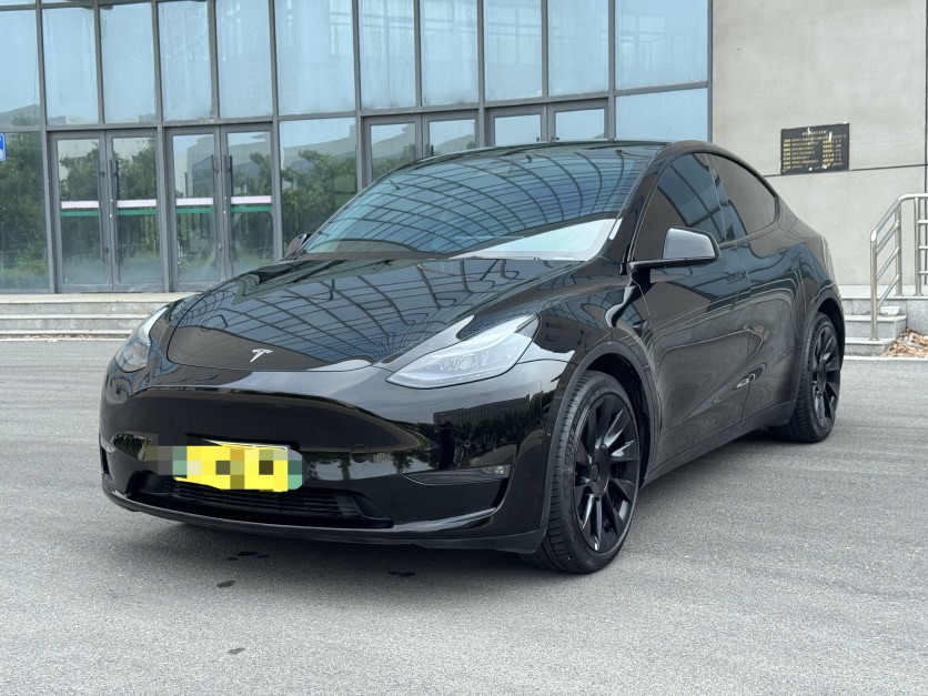 Tesla Model Y 2021 car image 