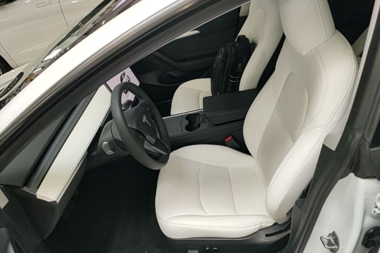 Tesla Model 3 2023 car image #15
