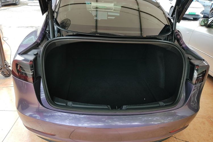 Tesla Model 3 2021 #19 Tesla Model 3 2021 car image #19