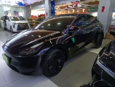 Tesla Model Y 2022 Tesla Model Y 2022 car image