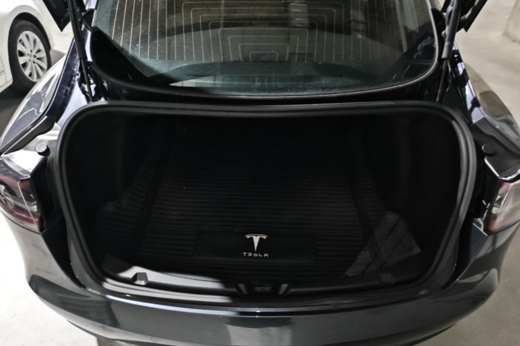 Tesla Model 3 2020 #19 Tesla Model 3 2020 car image #19