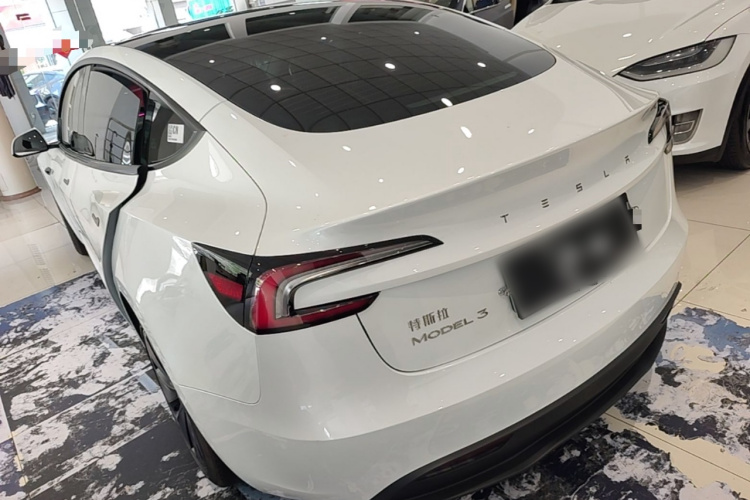 Tesla Model 3 2024 #5 Tesla Model 3 2024 car image #5