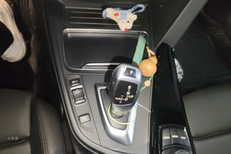 BMW 3 Series 2018 car image #16