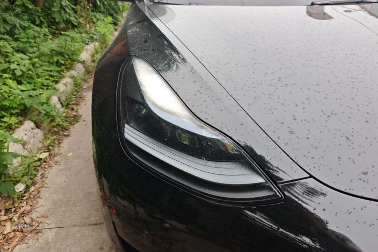 Tesla Model 3 2022 car image #8