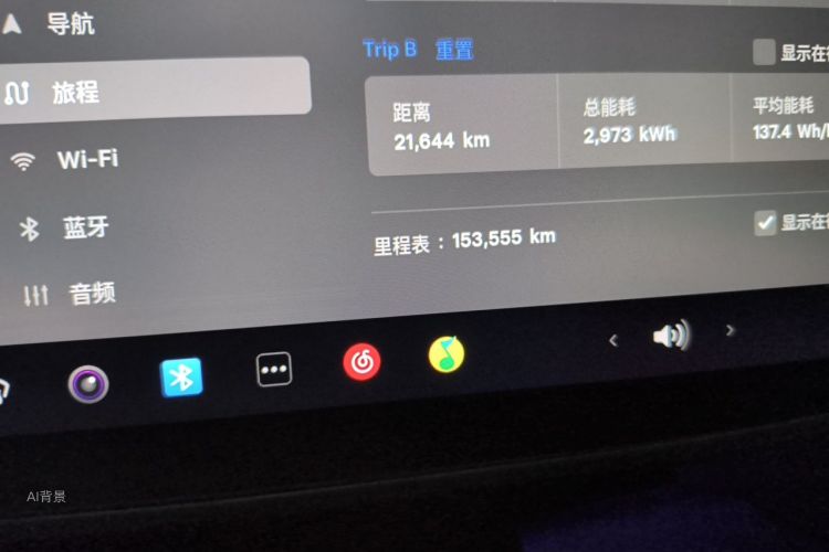 Tesla Model Y 2021 car image #14