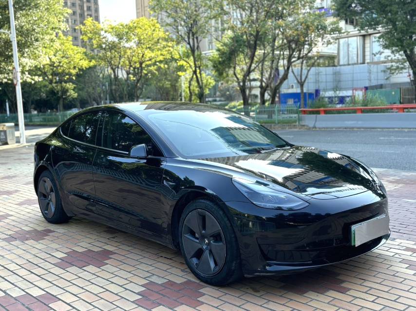 Tesla Model 3 2021 #3 Tesla Model 3 2021 изображение автомобиля #3