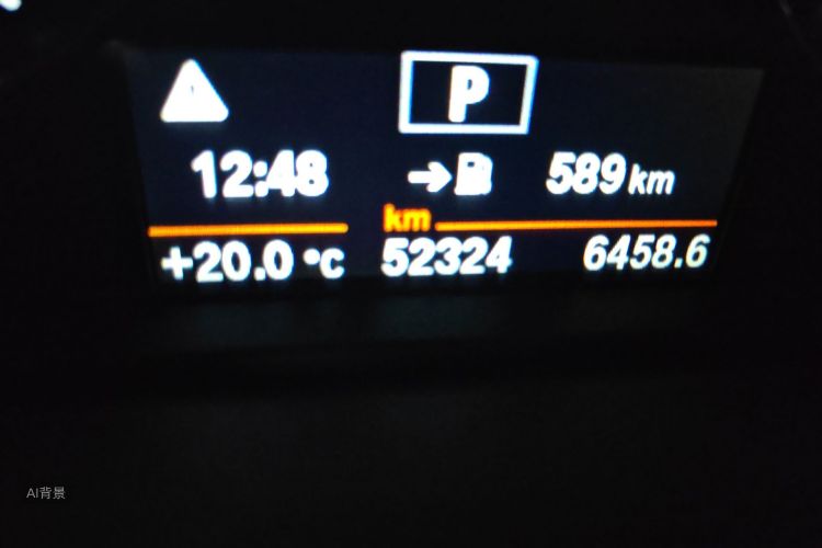 BMW X1 2019 car image #14