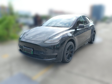 Tesla Model Y 2021 Tesla Model Y 2021 car image