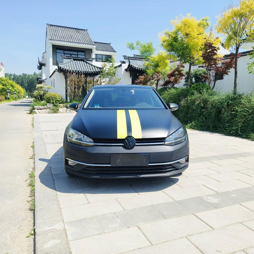 Volkswagen Golf 2019 #2 Volkswagen Golf 2019 car image #2