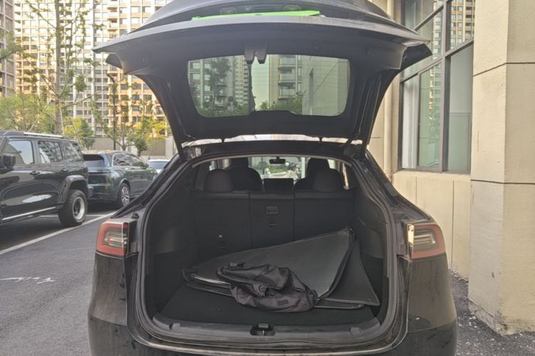 Tesla Model Y 2021 imagem de carro #19