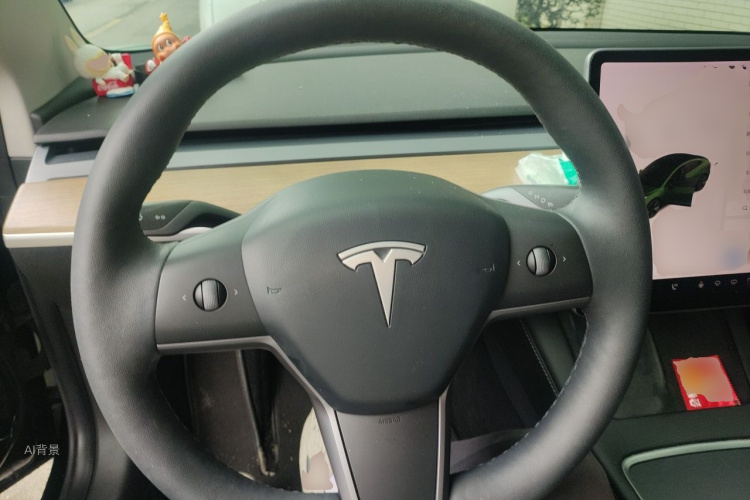 Tesla Model 3 2021 car image #12