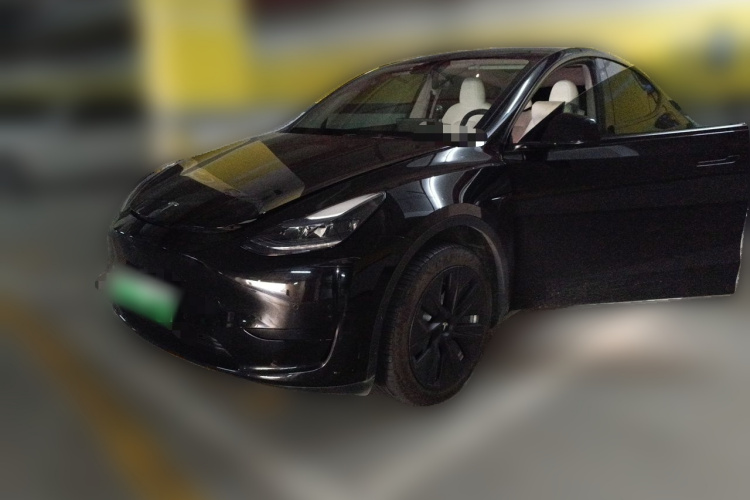 Tesla Model Y 2023 car image #2