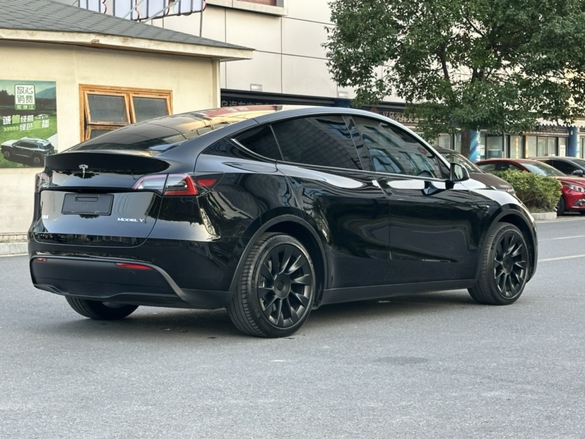Tesla Model Y 2021 #8 Tesla Model Y 2021 immagine di auto #8