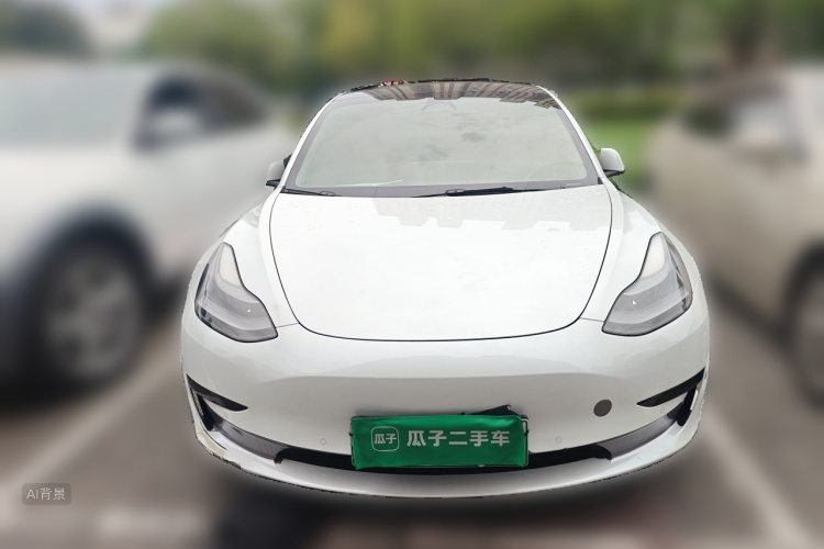 Tesla Model 3 2022 #3 Tesla Model 3 2022 car image #3