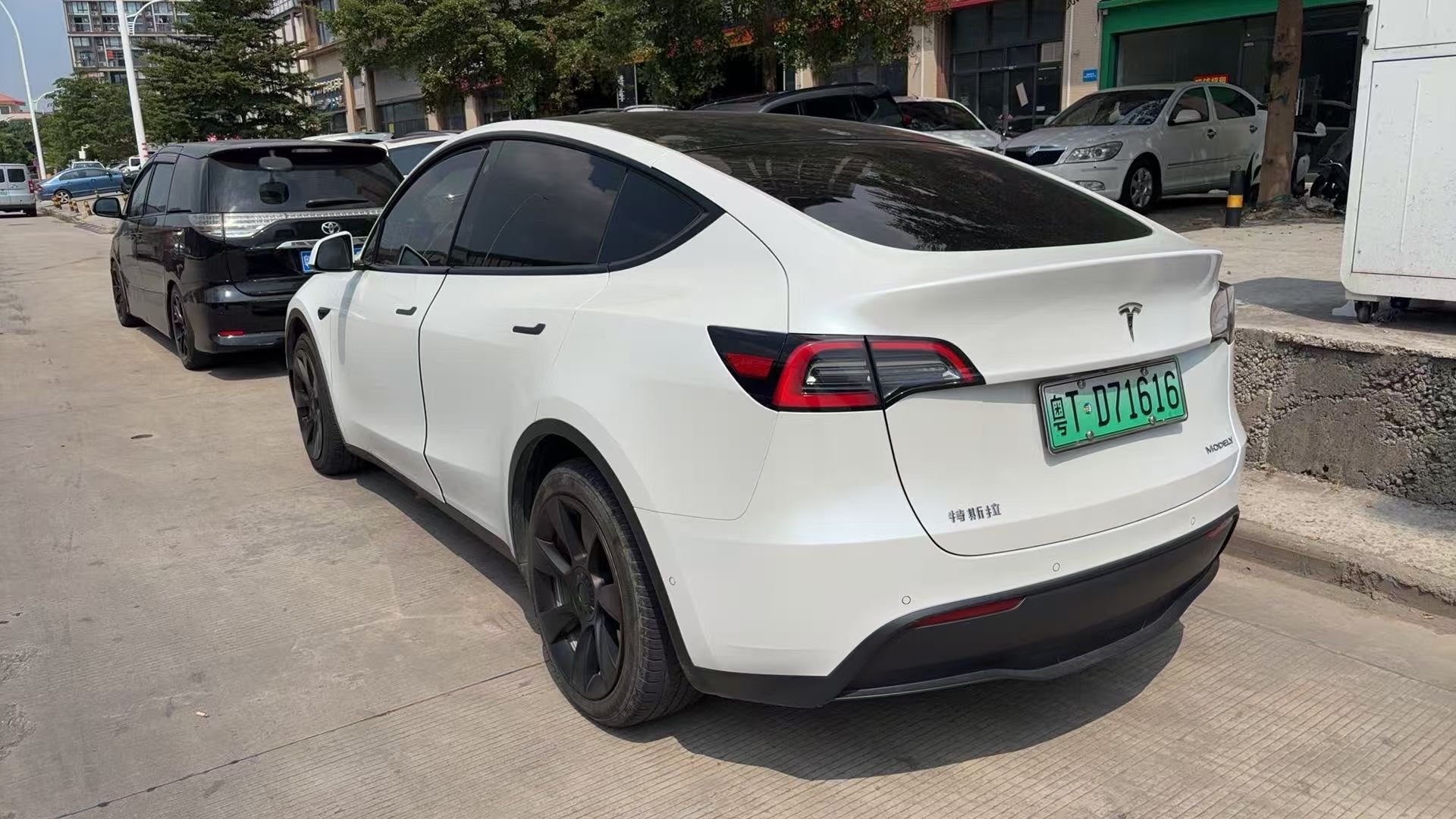Tesla Model Y 2023 #4 Tesla Model Y 2023 car image #4