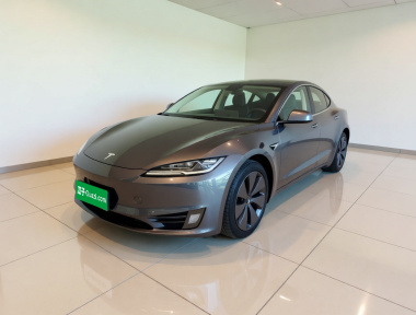 Tesla Model 3 2025 Tesla Model 3 2025 car image