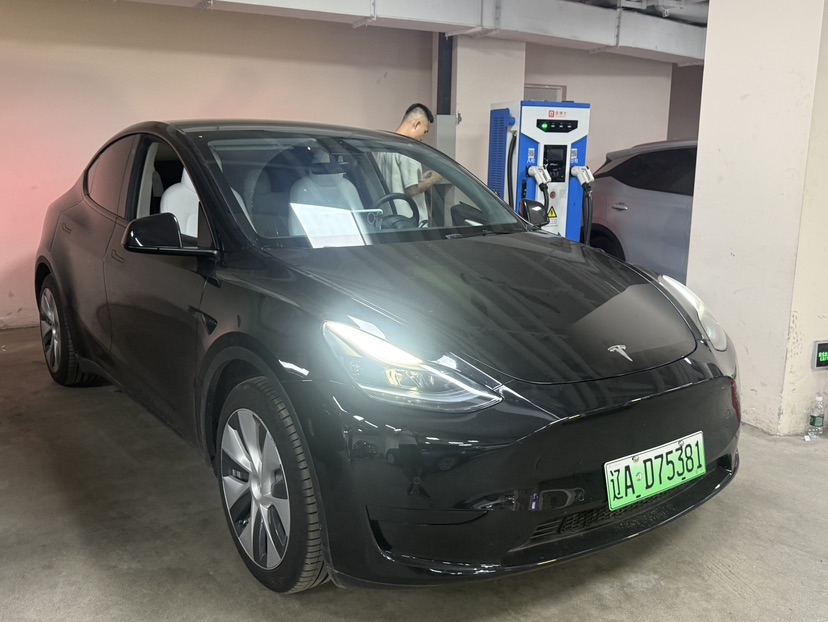 Tesla Model Y 2023 Tesla Model Y 2023 car image